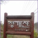 정개산원적산 둘레길 Daum카페