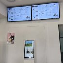 선구목장 | 제주 한 달 살기 10일 - (제주 올 패스) 아침미소 목장, 제주농원 901, 아일랜드 플라워 동물원, 우리...