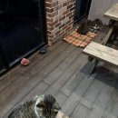 주성프라자 | 봄동비빔밥 야르