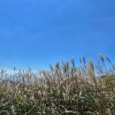 탑산사주차장 이미지