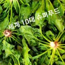 파파트리
