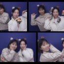 미니앤스위치 네이버블로그