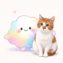 윤슬동물병원 | 집사라면 꼭 알아야 할 고양이 방광염 초기 신호들｜방광염 재발 예방 관리법