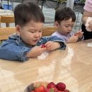 삼삼오오농장 이미지