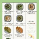 코시롱보리빵