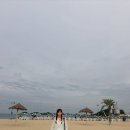 바다 - 세종특별자치시 도움8로 11-11 | 바다