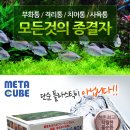 메타큐브
