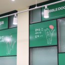 버블독스 이미지