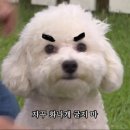 동판교로 이미지