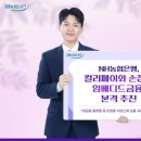쏠쏠