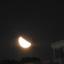 반달 Daum카페