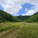 영천시 자라등-말머리산-삼각점봉-징검산-봉암산 (23.06.22) 이미지