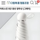 다우리몰
