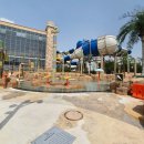 어서와 댕댕아 이미지