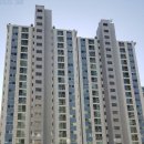 상동1천 이미지