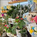 칠성남로 이미지