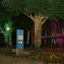 가평읍사무소 이미지