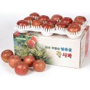 주왕산얼음골사과