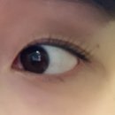 널스뷰티 숲칼프 세종점 | 세종 고운동 오늘도예쁜눈(널스뷰티숲칼프) 속눈썹 펌 솔직 후기