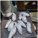 삼천포마리나펜션 이미지