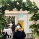 포레스트데이