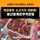 금산유통(주) | 구매하는 정육점 추천 울산봉계한우직판장 방문 후기 공업탑 위치한 소고기 돼지고기 가성비와 질 둘다...