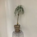 전포역 6번 8번 출구 이미지