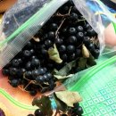 탑산골농장 이미지