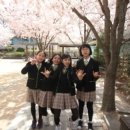 인성초등학교 이미지