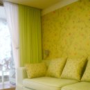 애플그린 이미지