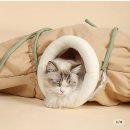 산타펫 - 2280 | [고양이용품]고양이 숨숨집 추천! 우리 냥이 취향저격 '산타펫 연근숨숨터널' 내돈내산 후기!