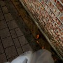 오케이연탄막창구이 - 광진구 용마산로21길 78 | 오케이연탄막창구이