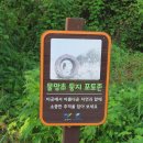 고양대덕생태공원에서 갈대숲과 함께 바라본 붉은 방화대교 풍경 이미지