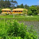 육교식당 이미지