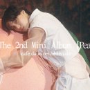 버니들 오프린트미 스티커 무료야 이미지