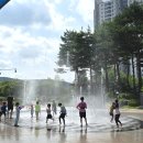 물향기공원 | 2025년 수원 물향기 공원 바닥분수