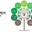 찬플러스 네이버블로그