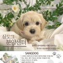 상도그 검암점 이미지