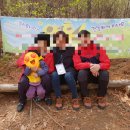 숲속둥지어린이집 네이버블로그