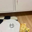 그린피버 이미지