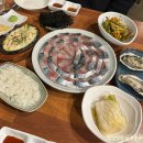 숙성회죠습니다 | 서울 고등어회 맛집 / 홍대 합정역 숙성회 맛집 '알배기' 후기