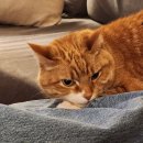 자유-희망 이미지