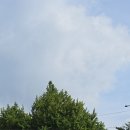 한양당구장 이미지