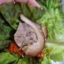 오동족보 이미지