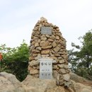 곡성-113 Daum카페