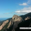 지성국제행정사사무소 이미지