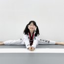 국가대표인성태권도