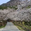 태인농장3 이미지