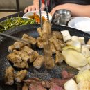 경기도 수원시 권선구 덕영대로1207번길 46-6 (권선동) | 권선동 곱창 맛집 또간집으로 유명한 황소곱창 후기