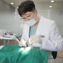 더바른치과의원 이미지